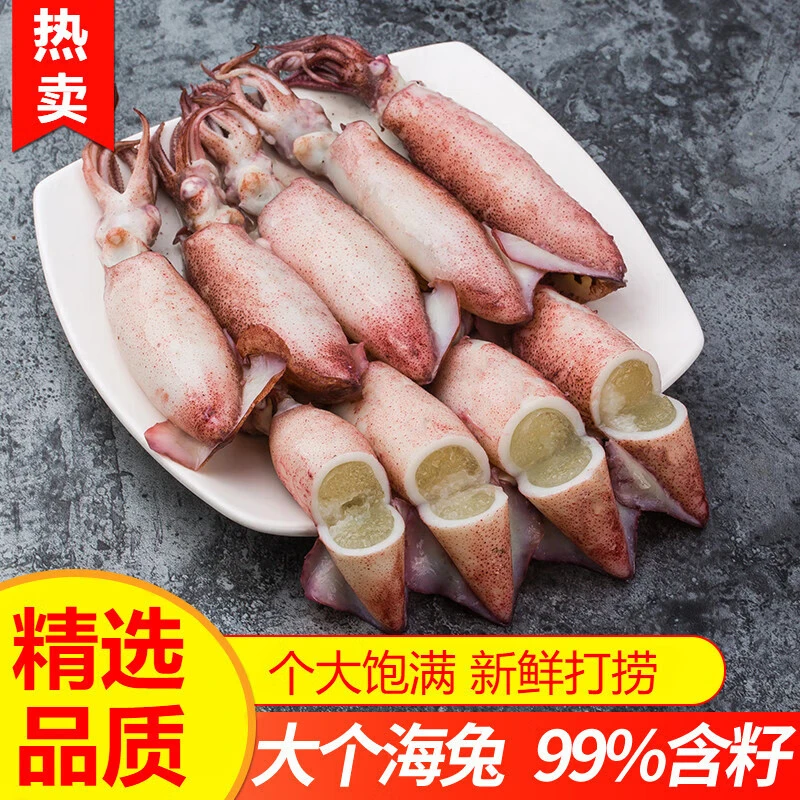 【连云港发货】牛司烤海兔  新鲜纯籽满籽笔管鱼速冻海鲜精选品质