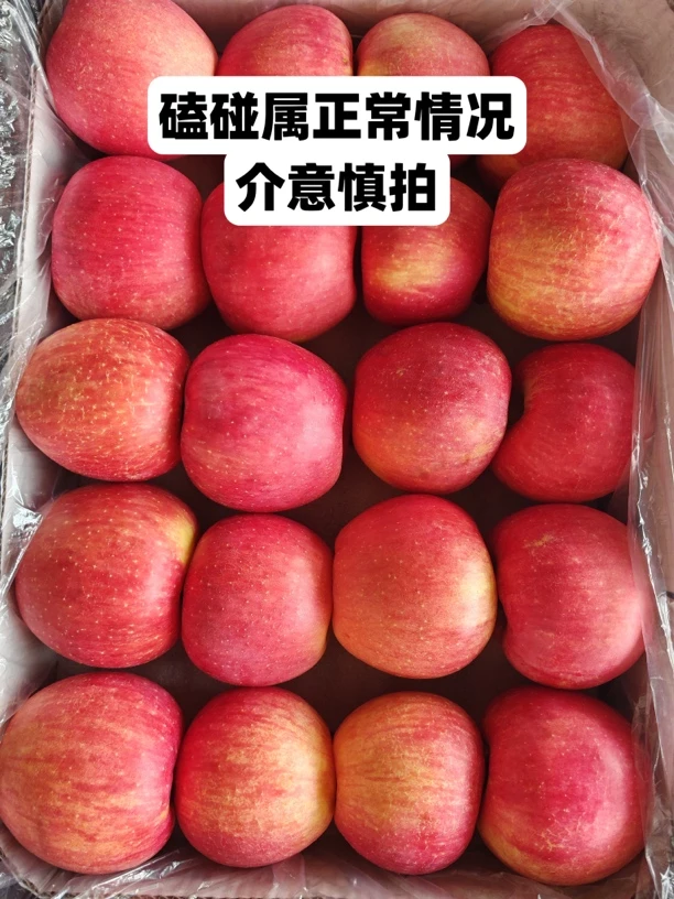 5斤东北大山里脆甜苹果寒富苹果如果有磕碰属正常现象(介意慎拍）