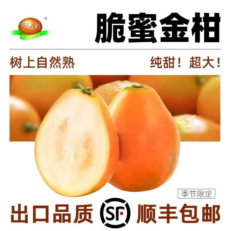 广西融安2斤脆蜜金柑金桔当季水果甜脆桔子新鲜顺丰包邮