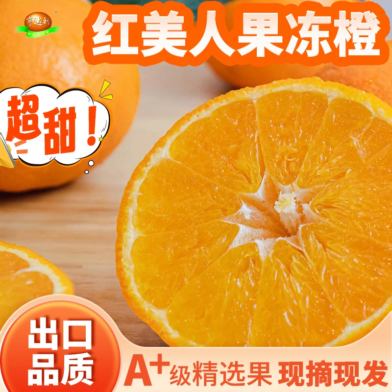 【新鲜速发】正宗红美人果冻橙5斤新鲜现摘柑橘蜜桔手剥甜橙包邮