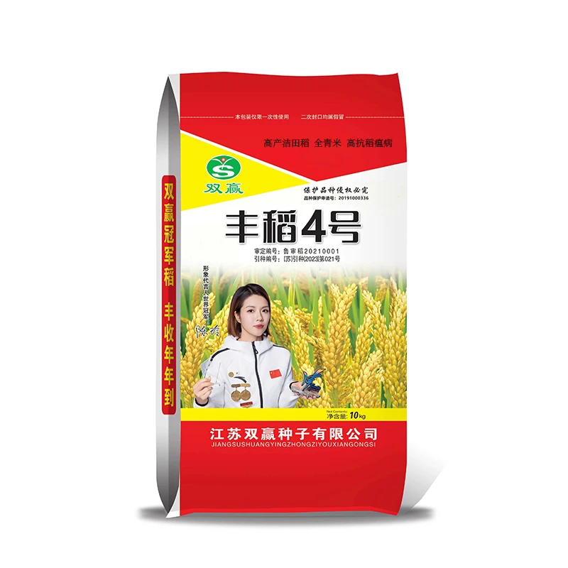 粳稻丰稻4号洁田分蘖强大穗大粒高产早熟抗病抗倒灌浆快水稻种子