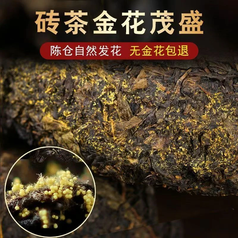 禾润珈茶叶黑茶1000g安化黑茶贡品湖南安化茯砖金花茶 重磅出击