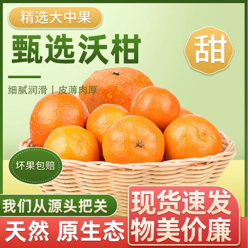 正宗广西武鸣沃柑香甜多汁现摘爆汁爆甜
