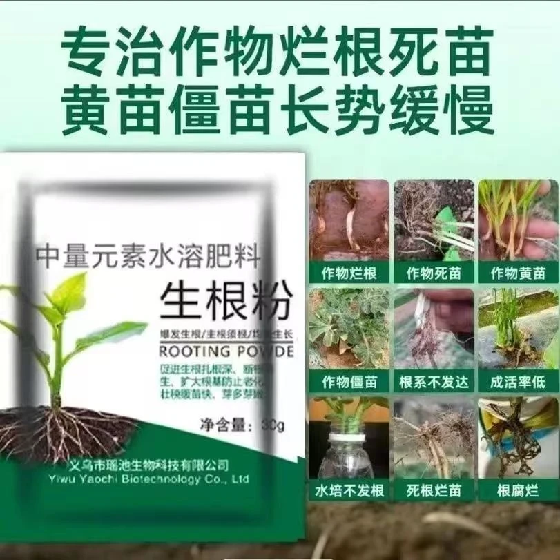 速效生根粉快速植物插杆浸泡水培土培通用生根剂花卉果树插花强效