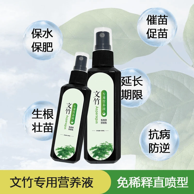 文竹专用营养液富贵竹专治叶子发干枯免稀释生长花肥