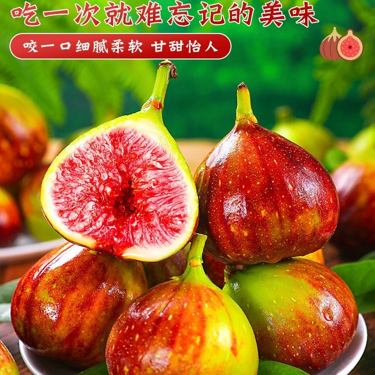 云南波姬红紫皮特大现摘新鲜应季水果全程冷链WHG甜糯丰收季