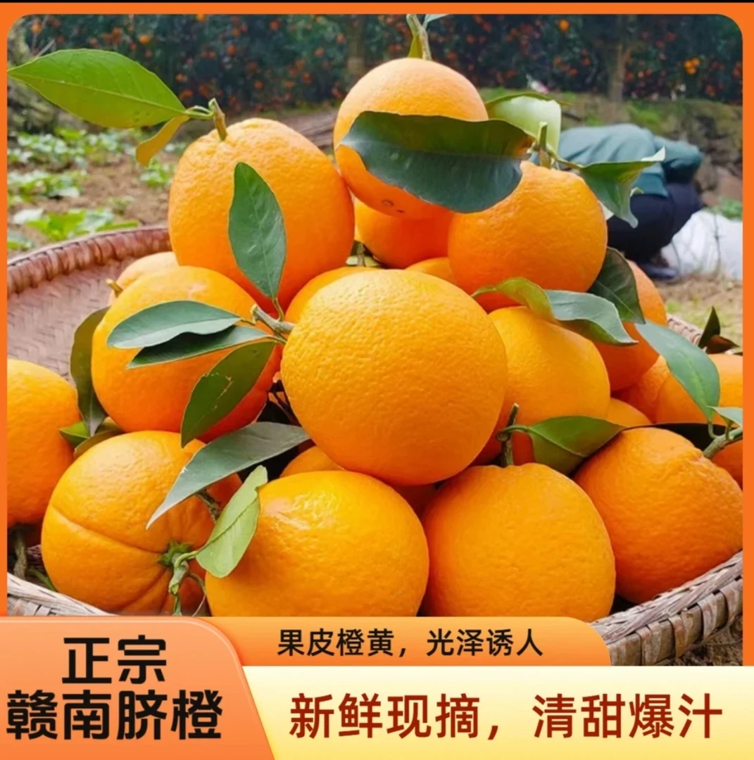 【产地直发】正宗赣南脐橙5斤新鲜应季水果爆甜橙子纽贺尔坏果包赔