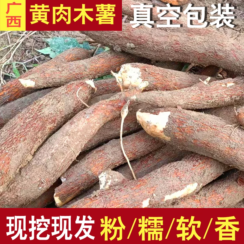 黄肉木薯新鲜现挖8斤广西特产黄心面包木薯羹糖水蜜薯板栗农家