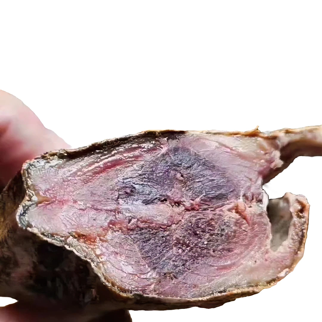 红肉大咸鱼梅香糟鱼臭咸鱼汤腌整条包邮非燕尾鲅咸鱼