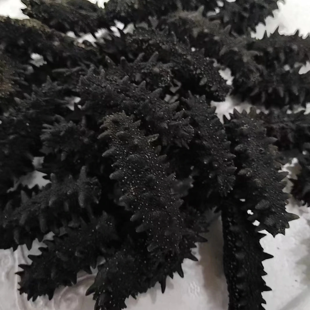 俄罗斯进口50头野生海参干海参纯淡干零添加8.5-9个干