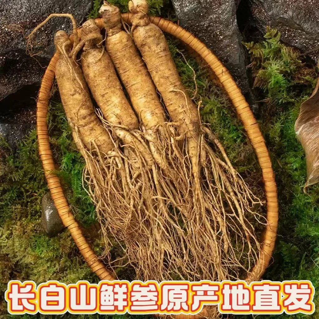 长白山鲜人参 加大号 一斤 煲汤泡酒