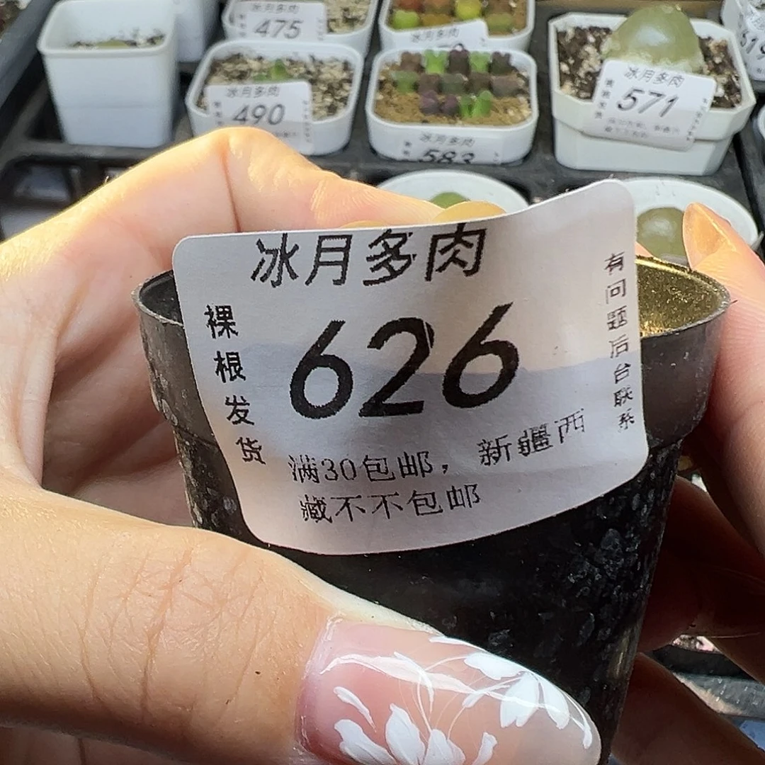 626毛汉尼11122233333333