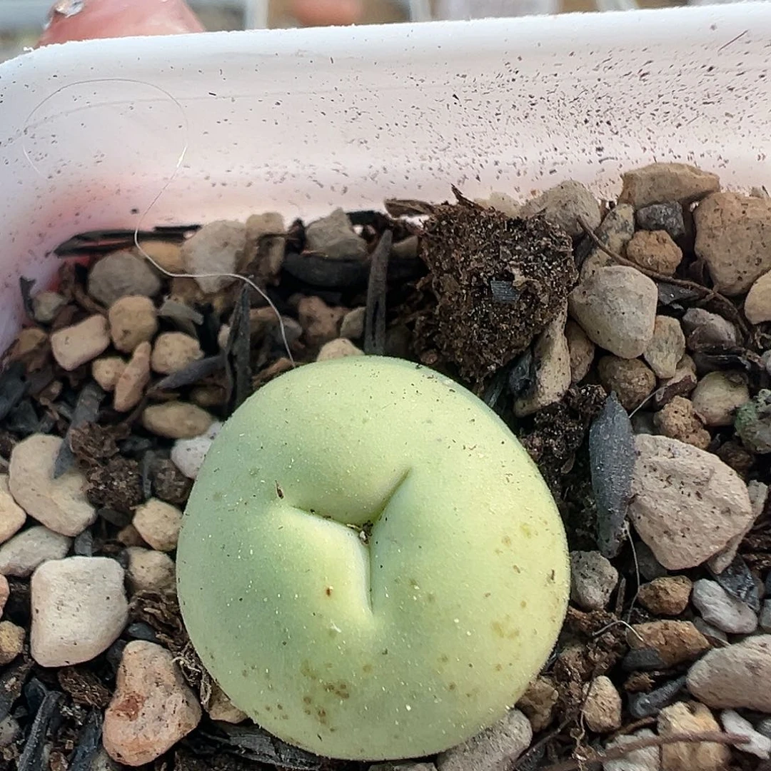 700奔奔1111222223333