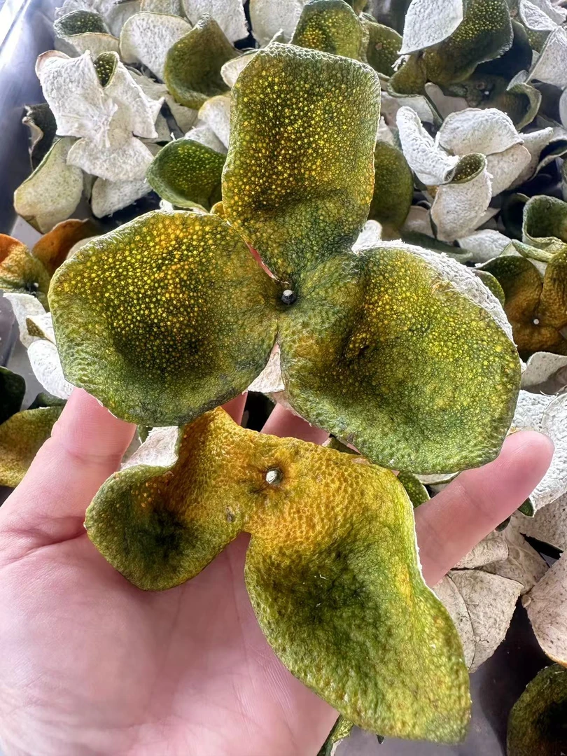 【2024】年梅江圈枝二红皮新会一线产区