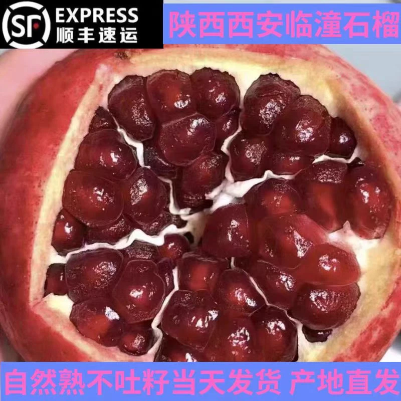 顺丰包邮/陕西西安临潼突尼斯软籽黑美人石榴老品种酸石榴礼盒装