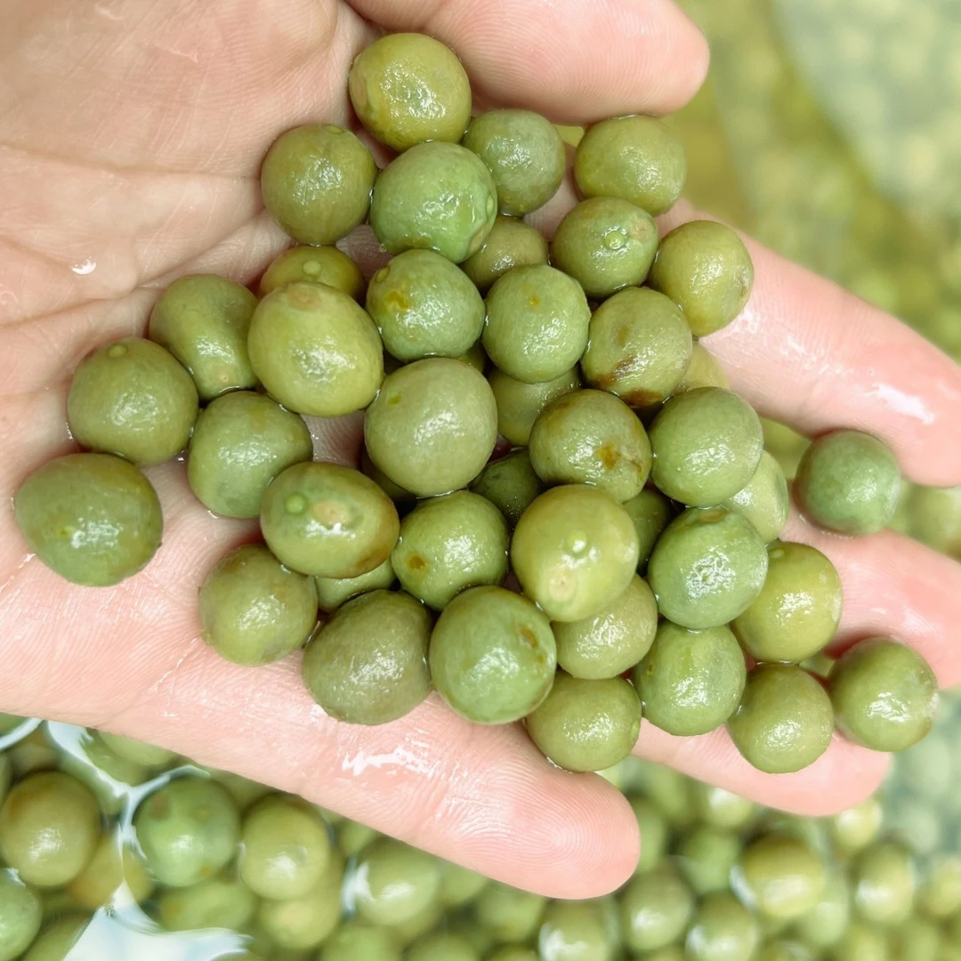 2025年天长鸡头果老二青建议微波炉加热（果壳稍微偏硬果肉更弹）