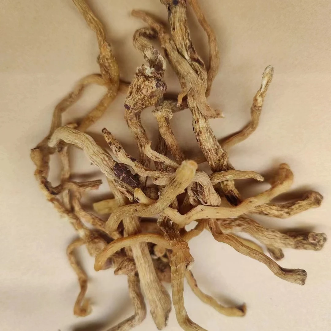 【小清】夏至枸杞  玉竹条