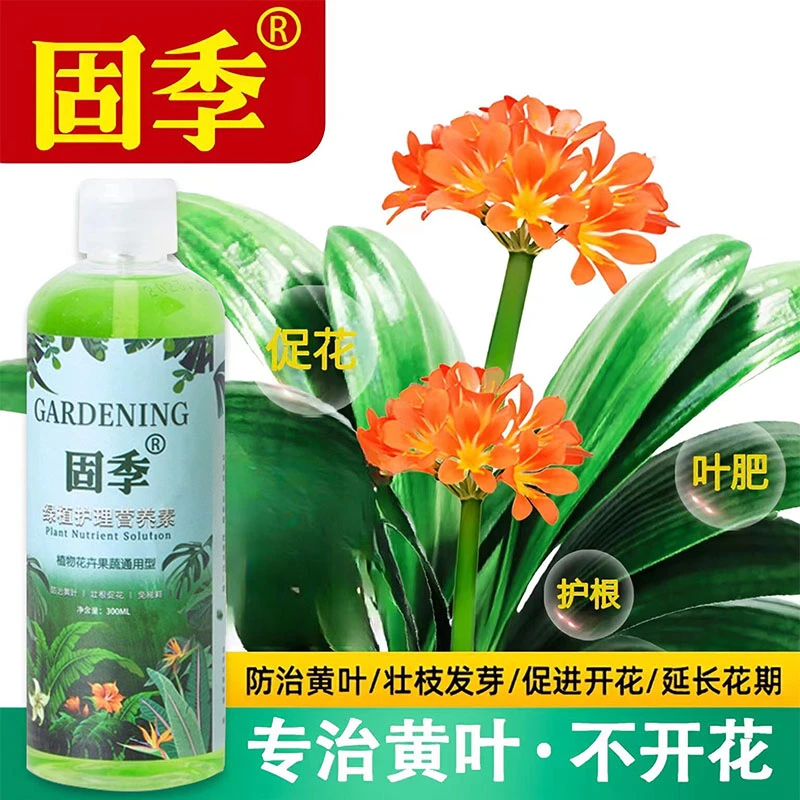 固季营养液专治黄叶落叶促花植物生长适用全植物和全花卉认准正品