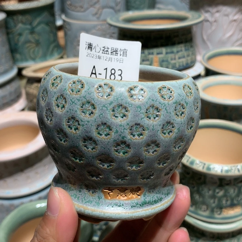 【闪购商品】瓷12-19-183口径6.5