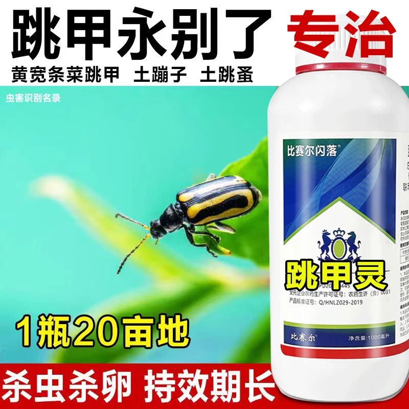联菊啶虫脒白粉虱飞虱跳甲药辣椒茄子百香果除虫药植物蔬菜杀虫剂