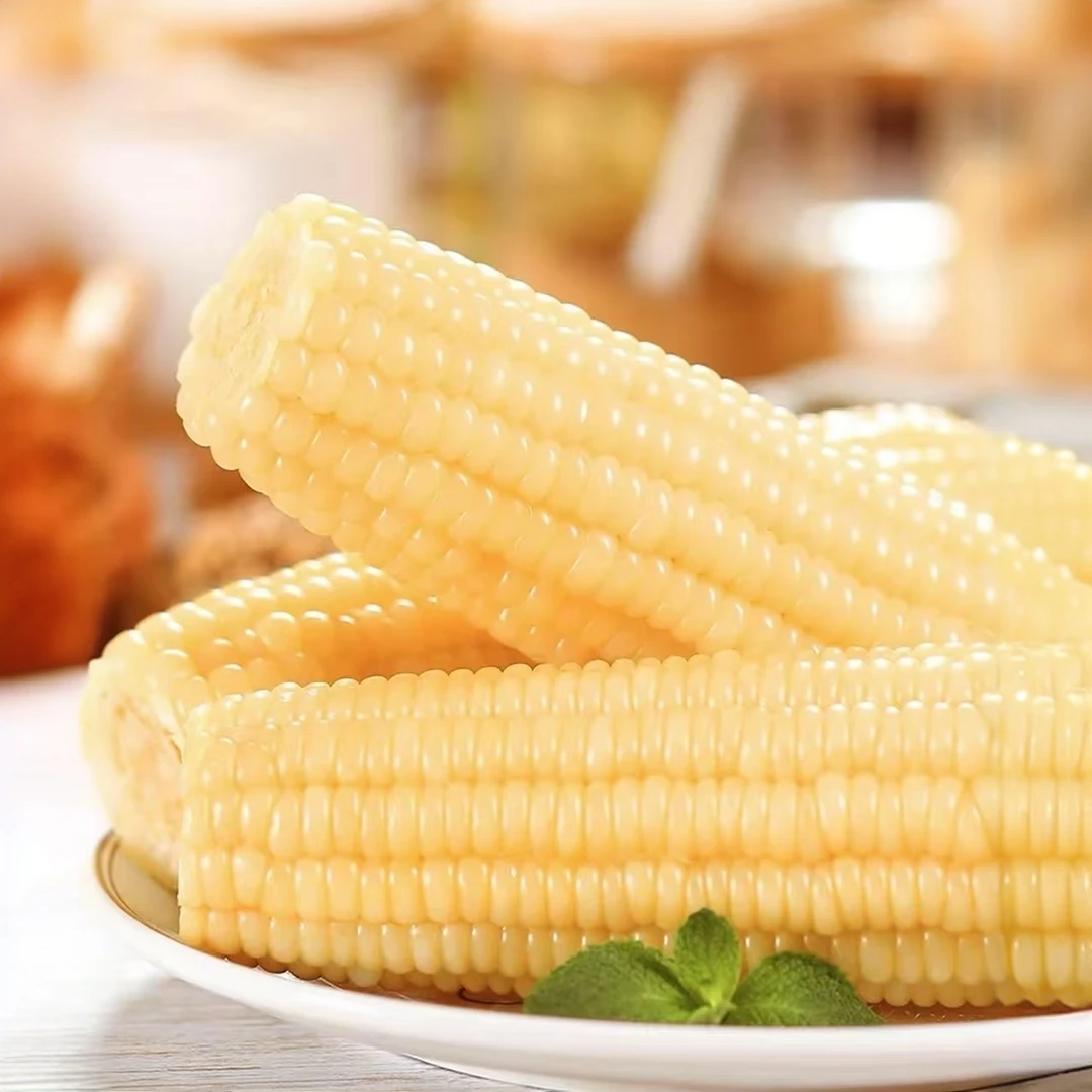 农家采摘白糯玉米240g10支装