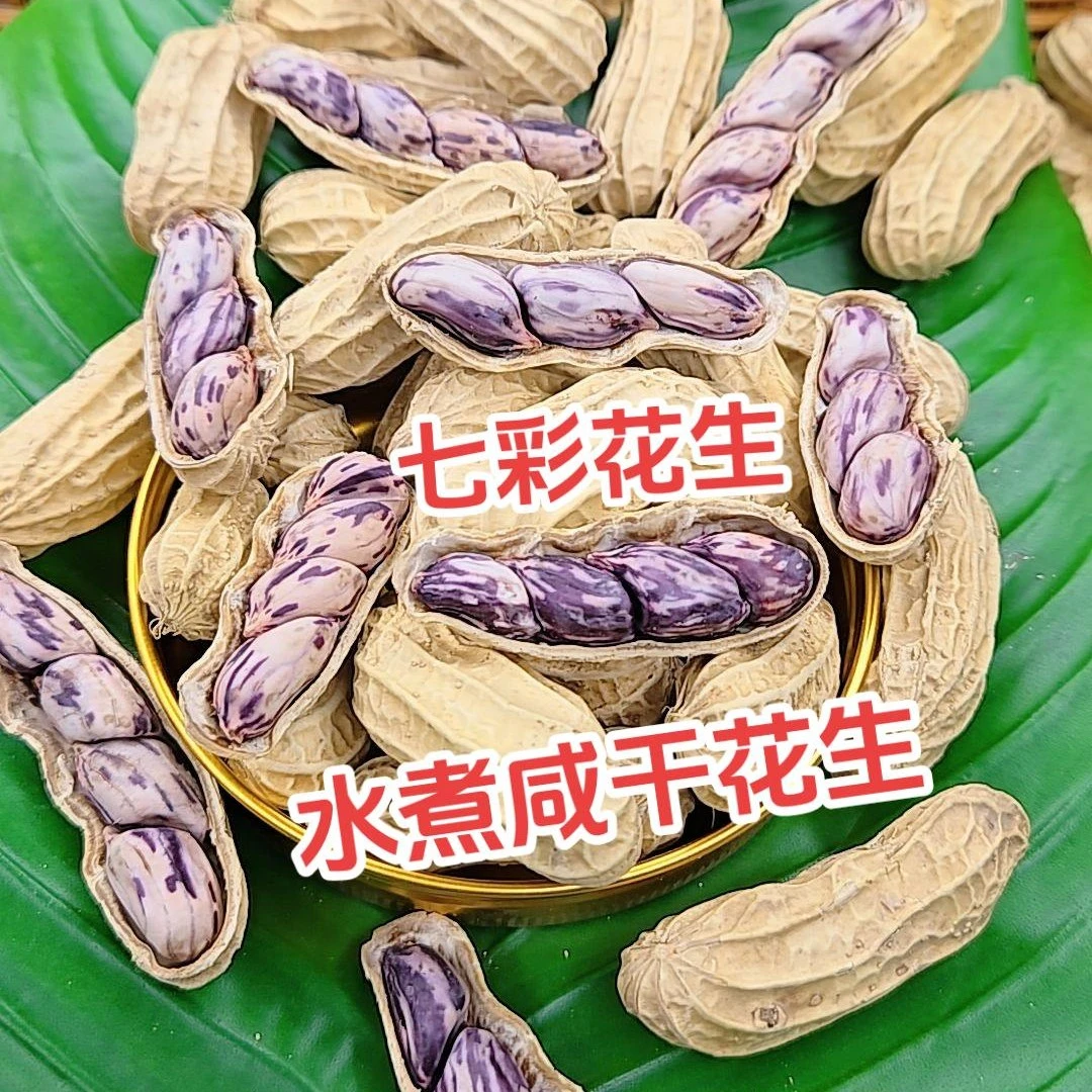 云南原生态野地七彩花生→熟的好吃花生原味咸干花生蒜香酥脆