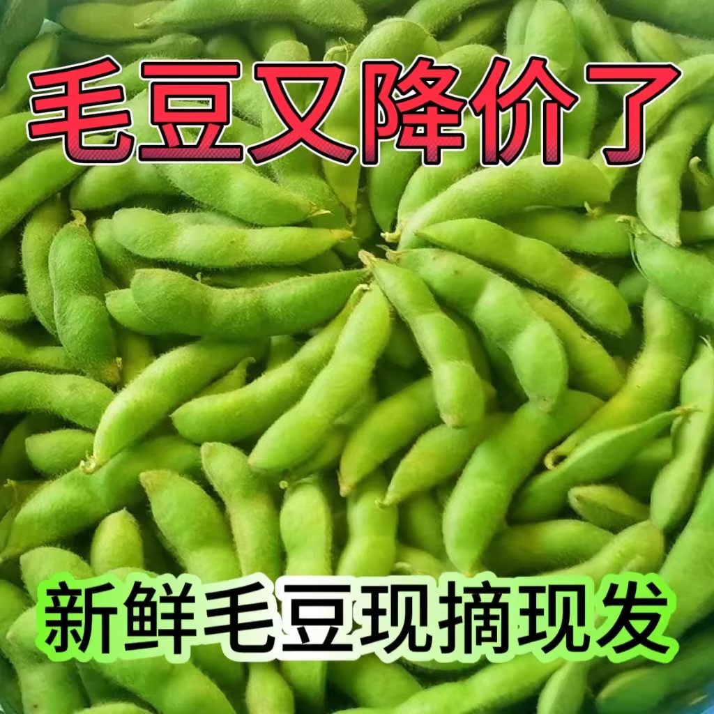 云南露天新鲜毛豆带壳当季农家自种蔬菜一整箱豆荚现摘现发