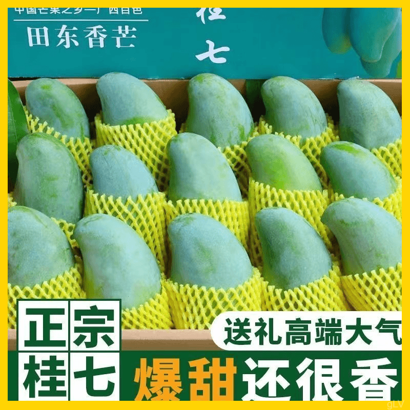 广西百色田东桂七芒新鲜当季水果青芒果贵七香芒包邮qp