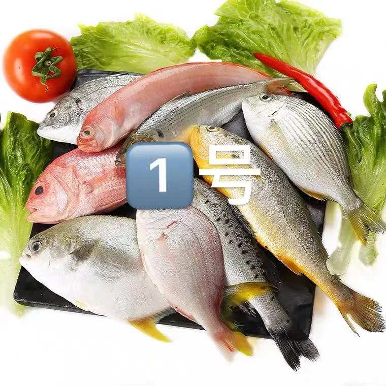 青岛鲜鱼现称现卖链接，青岛顺丰速冻锁鲜发货