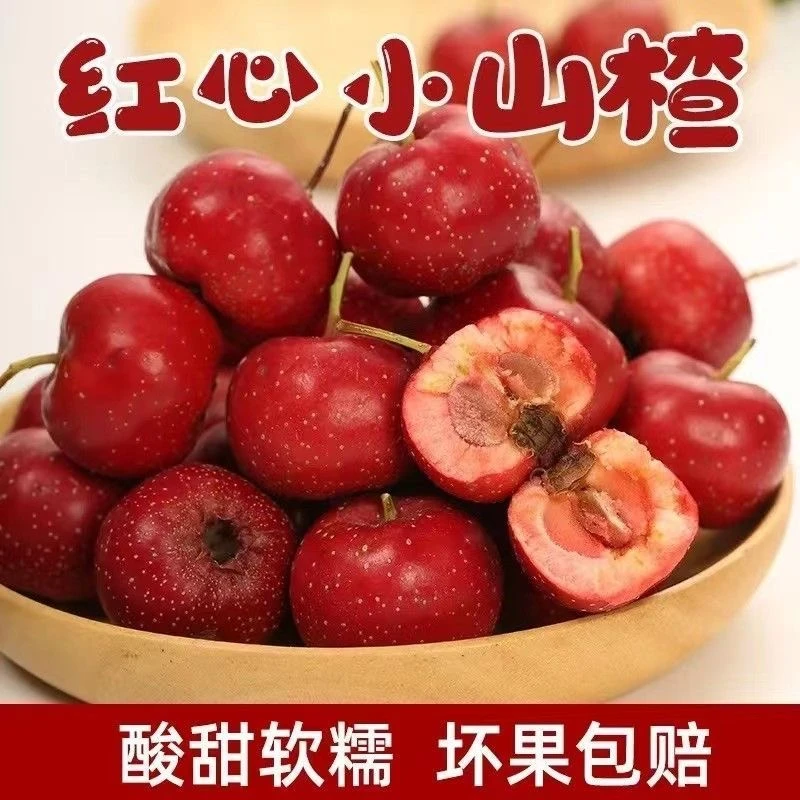 甜红子山楂沂蒙山区山里红新鲜水果糖炒雪球山楂果泡酒八月红微酸
