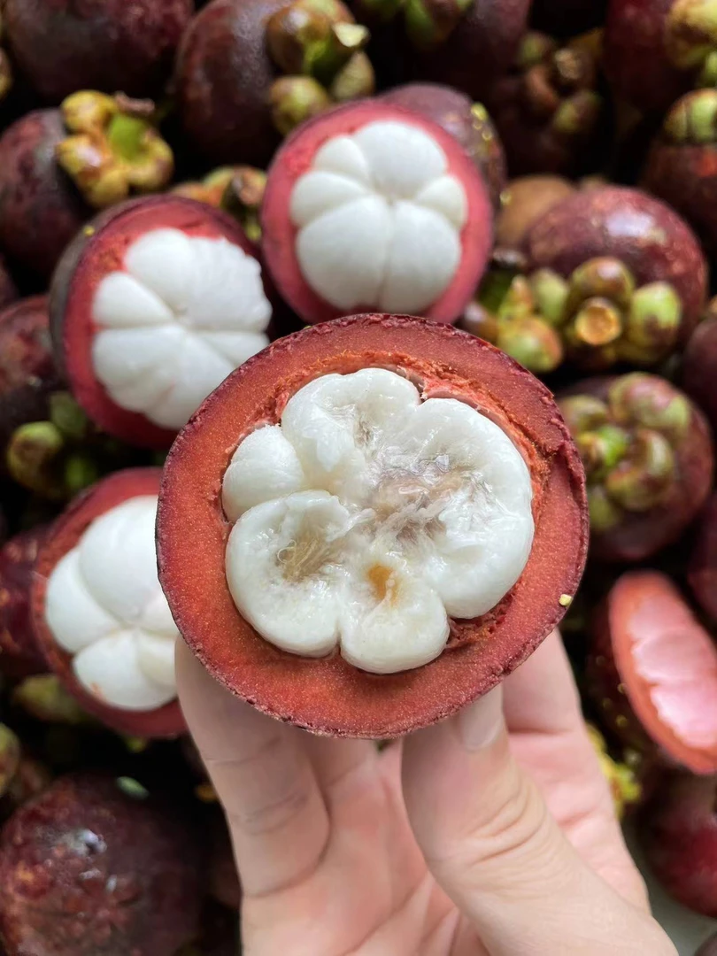 现货泰国老树麻竹3/5斤礼盒装新鲜水果山竹嫩甜解腻5A大果空运