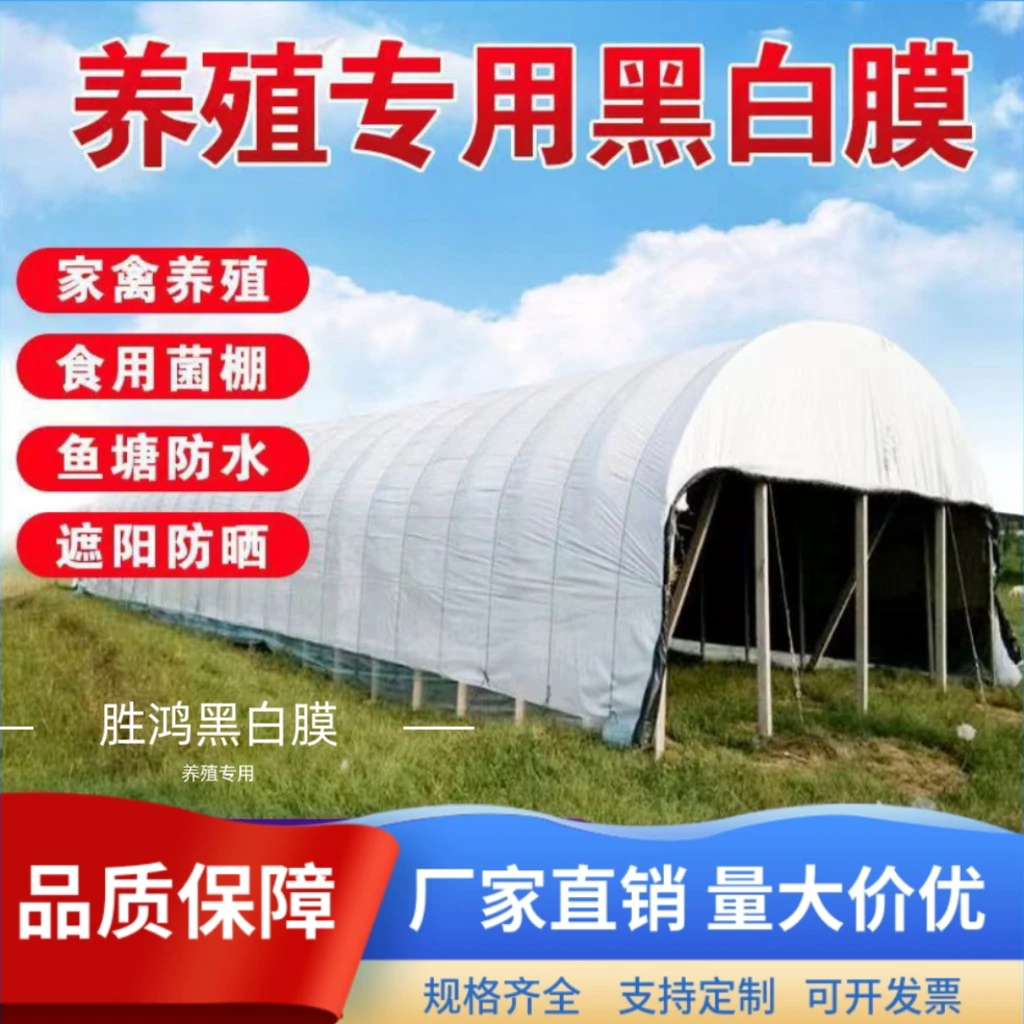进口黑白膜加厚养殖大棚黑白膜反光隔热防晒塑料布食用菌绿白膜