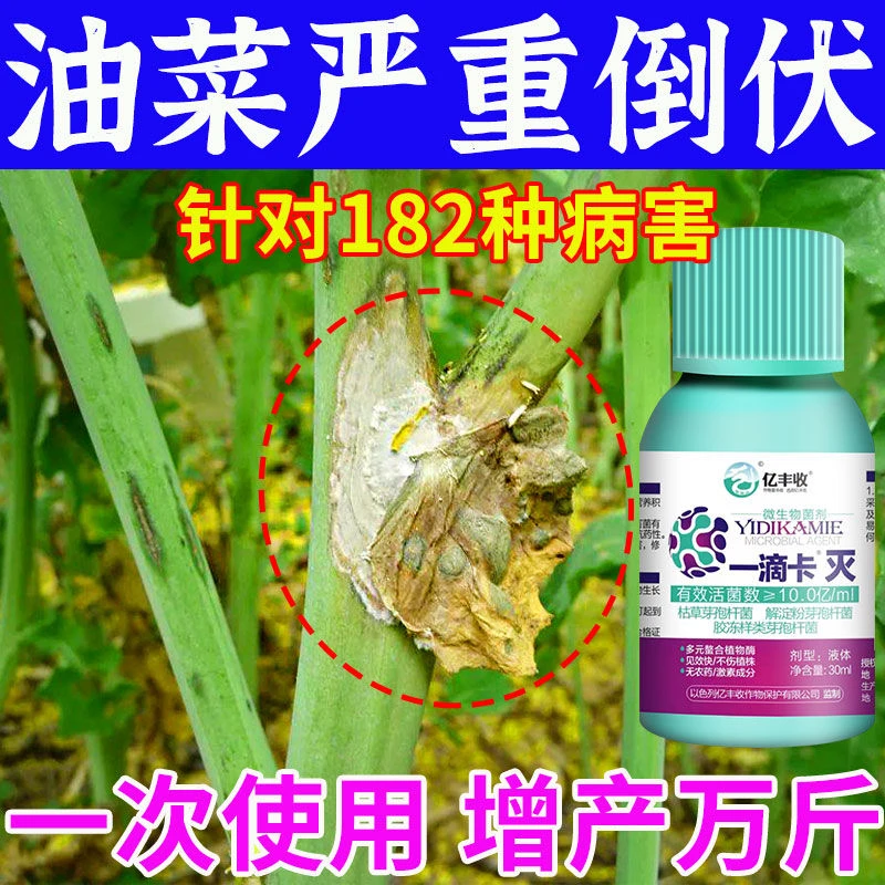 油菜专用药油菜病全治烂根黄叶菌核病软腐病霜霉病灰霉专用杀菌剂