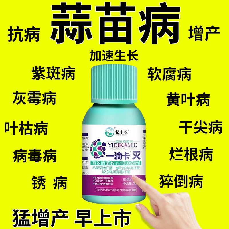 大蒜专用药大蒜病全治黄叶干尖灵锈病紫斑病根腐病蒜苗专用杀菌剂
