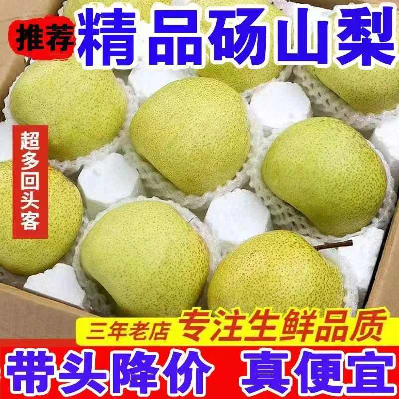 砀山酥梨冰糖雪梨新鲜水果多汁皇冠梨丰水梨青梨批发