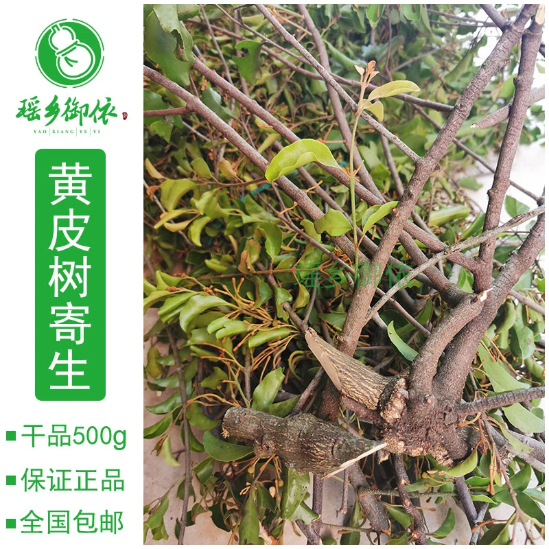 黄皮木寄生干品全国包邮自然晒干切段绿植园艺花艺包装材料其他