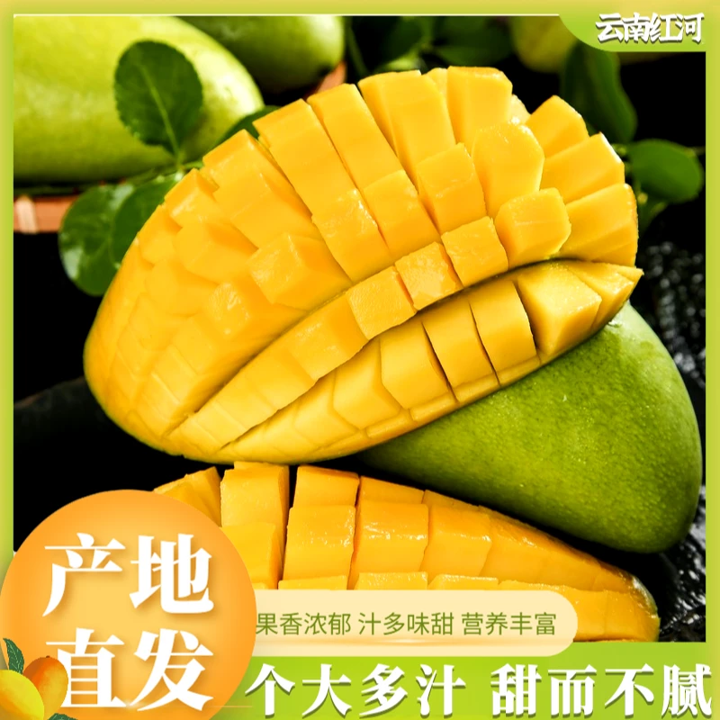云南红河（金煌芒）大青芒果园现摘现发当季优选精品核薄特大肉厚