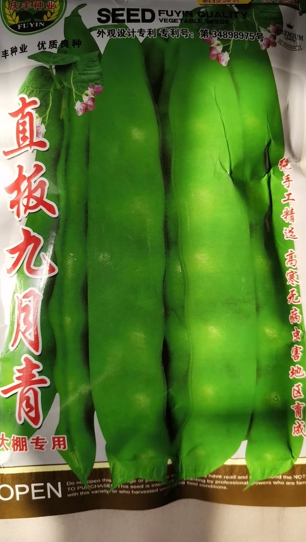 九月青油豆角种子