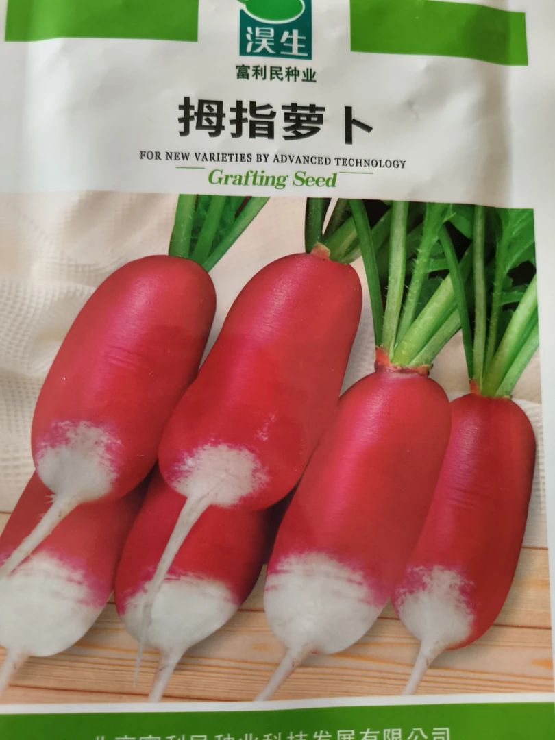 精选拇指萝卜种子