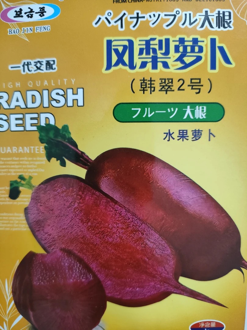 凤梨水果萝卜种子