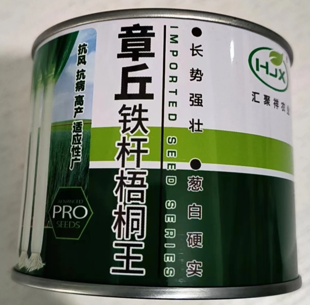 铁杆梧桐王大葱种子