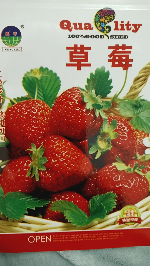 精选草莓种子（拍一发二）