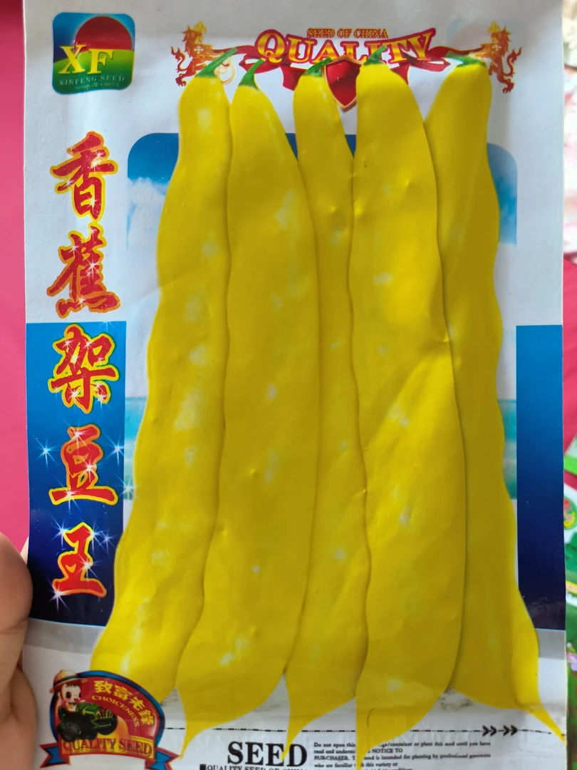 精选香蕉油豆种子