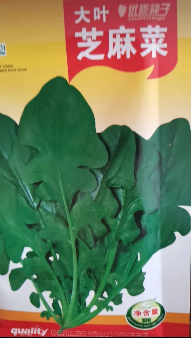东北小菜园精品臭菜种子
