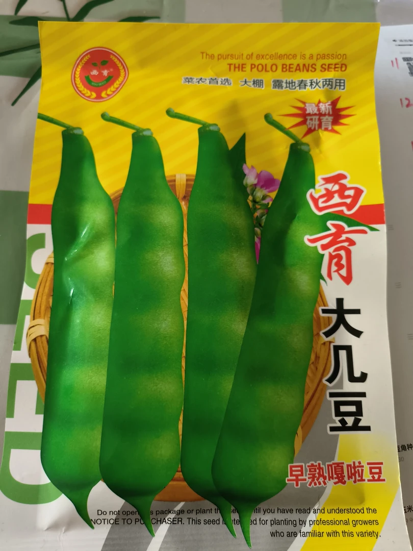 西育大几豆种子。