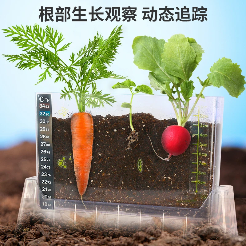 儿童植物生长观察盒幼儿园种植阳光房种菜小盆栽根系种子发芽实验