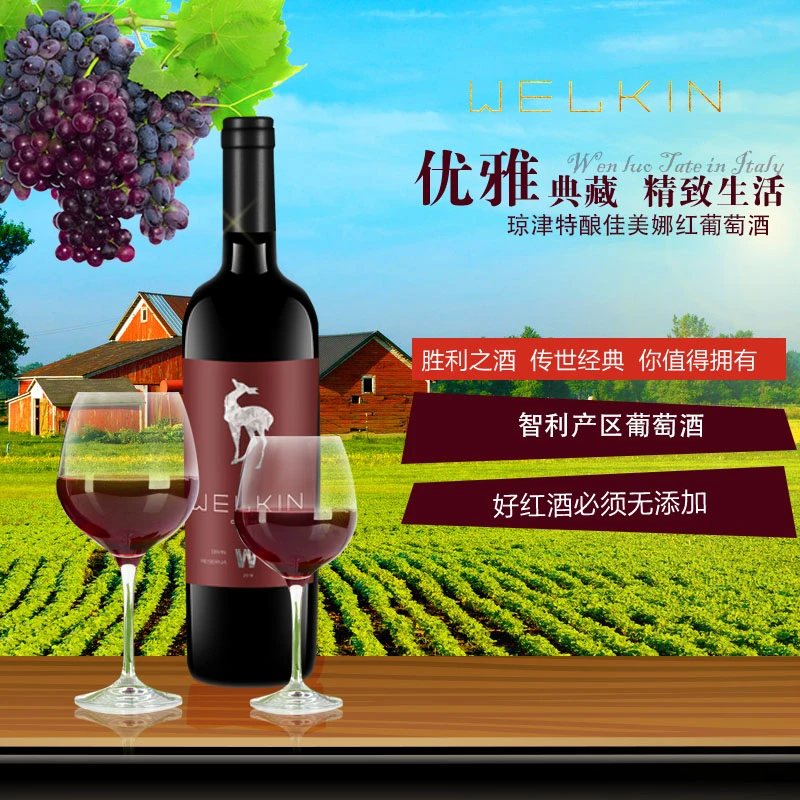 智利圣丽塔酒庄集团苏安蒂诺酒庄琼津特酿佳美娜红葡萄酒原瓶进口