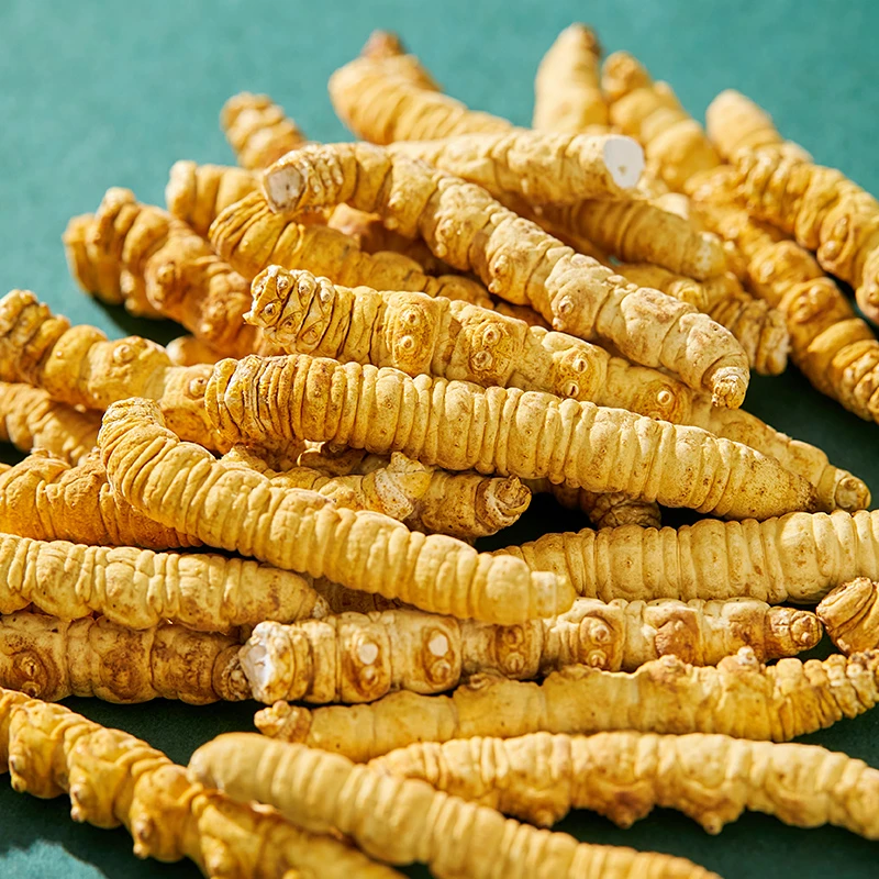 【央吉专属】25克肉节 2024头茬干冬虫夏草中秋滋补甄选泡酒食用