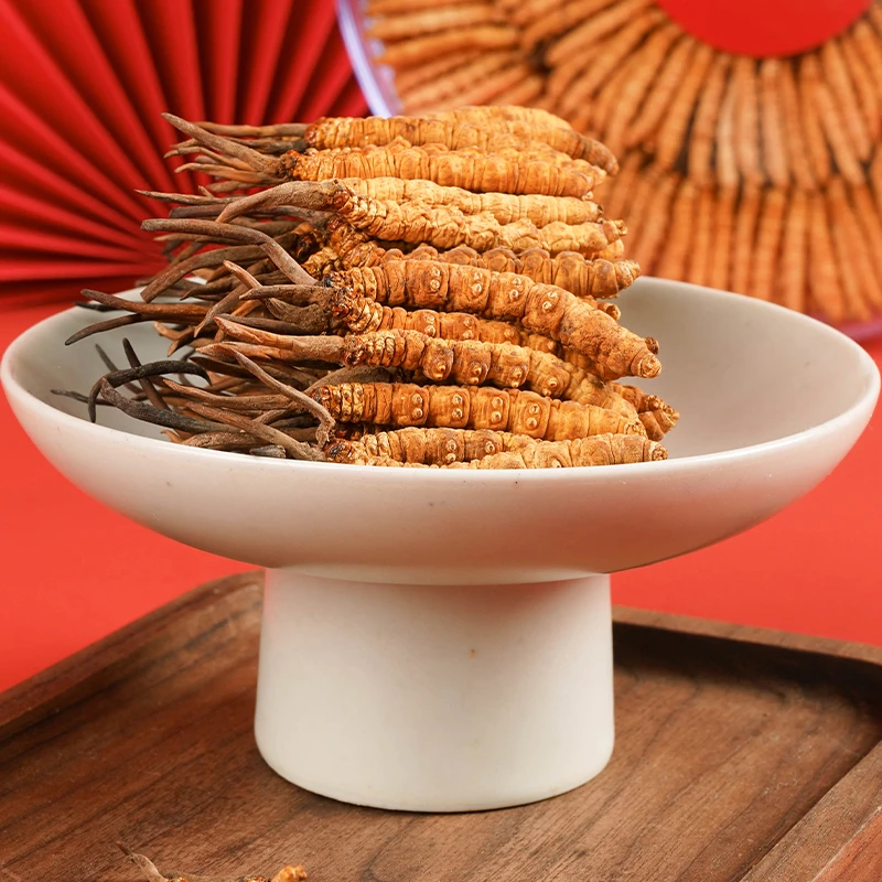 【央吉专属】2.5根/克62根 2024头茬干冬虫夏草高品质滋补泡酒