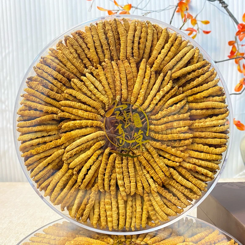 【双十一拉姆专属】4根/克200根 2024头茬干冬虫夏草高品质滋补泡酒